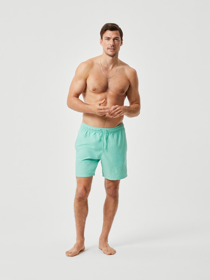 Borg Swim Shorts